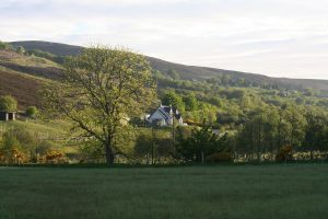 Where the author lives