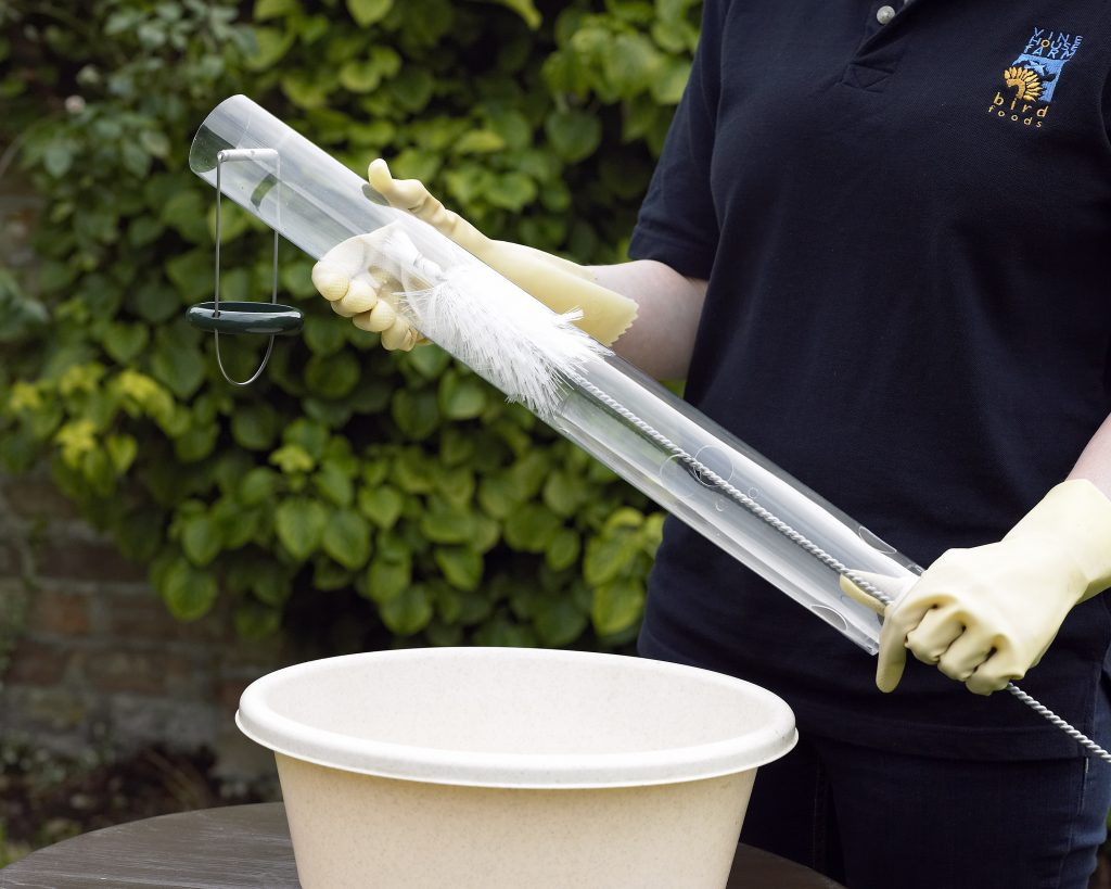 Why hygiene is such an important part of feeding garden birds