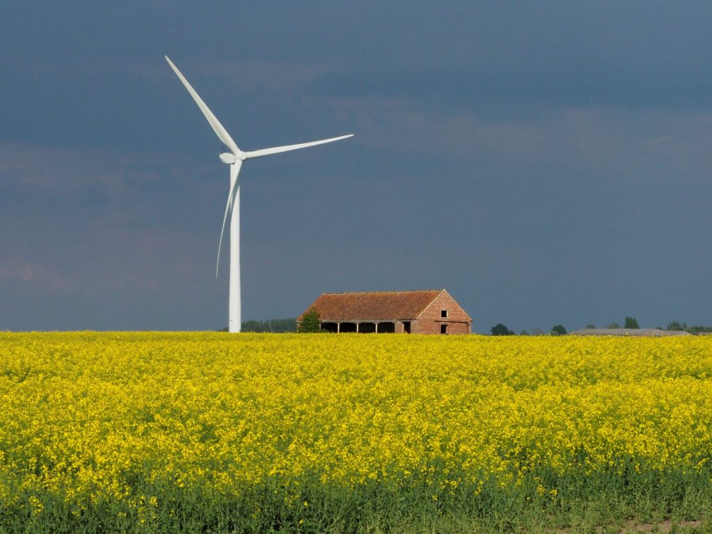 COP26 & how you can do your bit