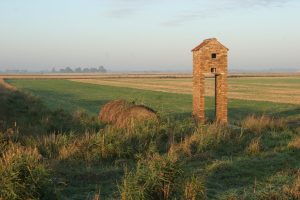 Barn Owl Tower