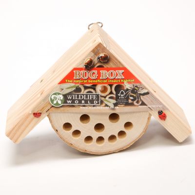 Bug Box