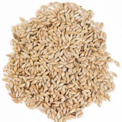 Canary Seed-13Kg
