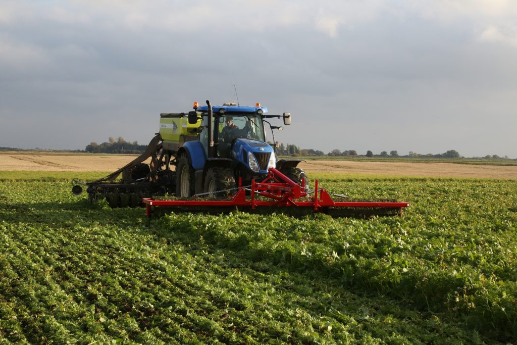 Oil Radish and Wildlife