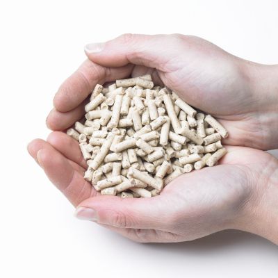 Suet Pellets - Mealworm