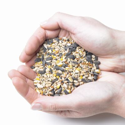Mixed Bird Seed