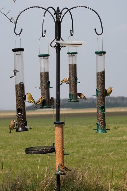 Feeding station