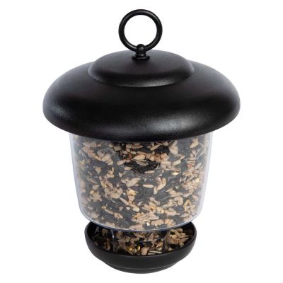 Little Lantern Feeder