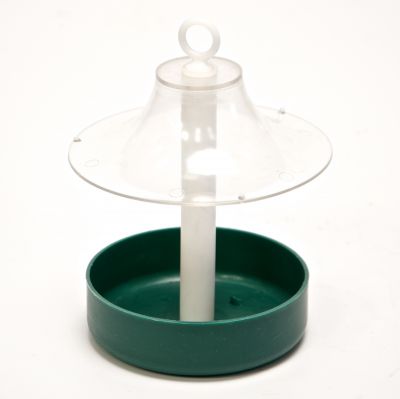 Live Mealworm Bird Feeder