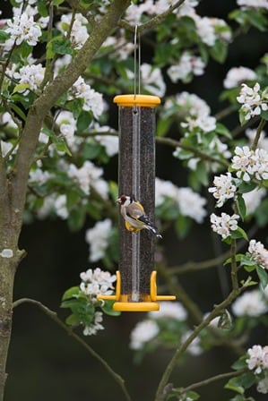Niger feeder