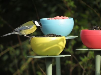 Nuttery Flowerbed Feeders