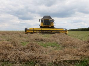 Harvest 2016