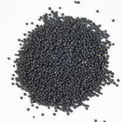 Oil Seed Rape Bird Seed-13Kg