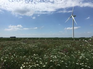 The power of nature helps us to deal with the stressful world we live in