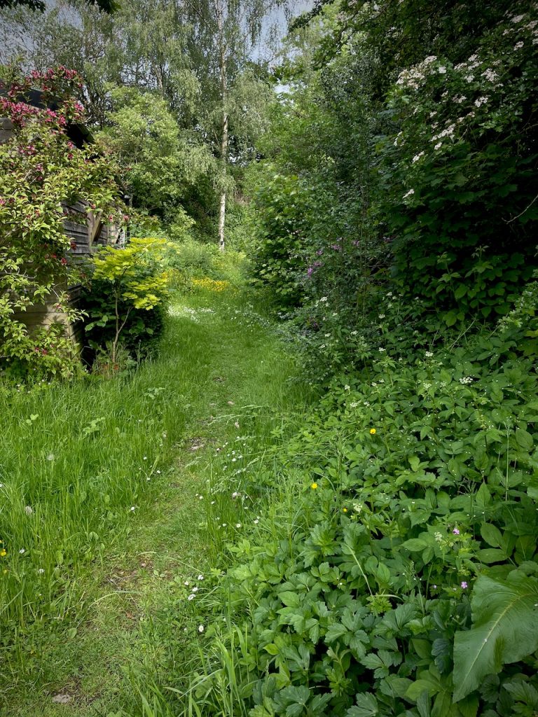 Did you mow in May?