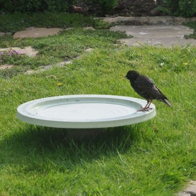 Shenstone Bird Bath