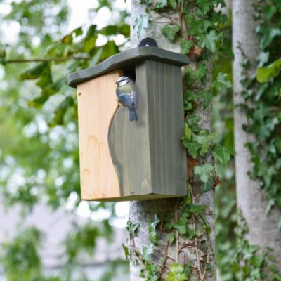 Simon King Curve Nest Box