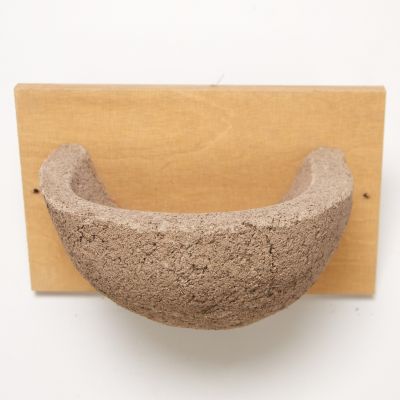 Swallow Nest