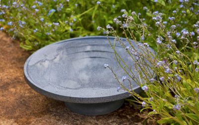 Water is Life Bird Bath