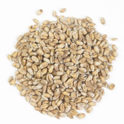 Wheat for Birds