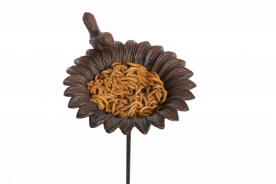 Old Iron Sunflower Feeder